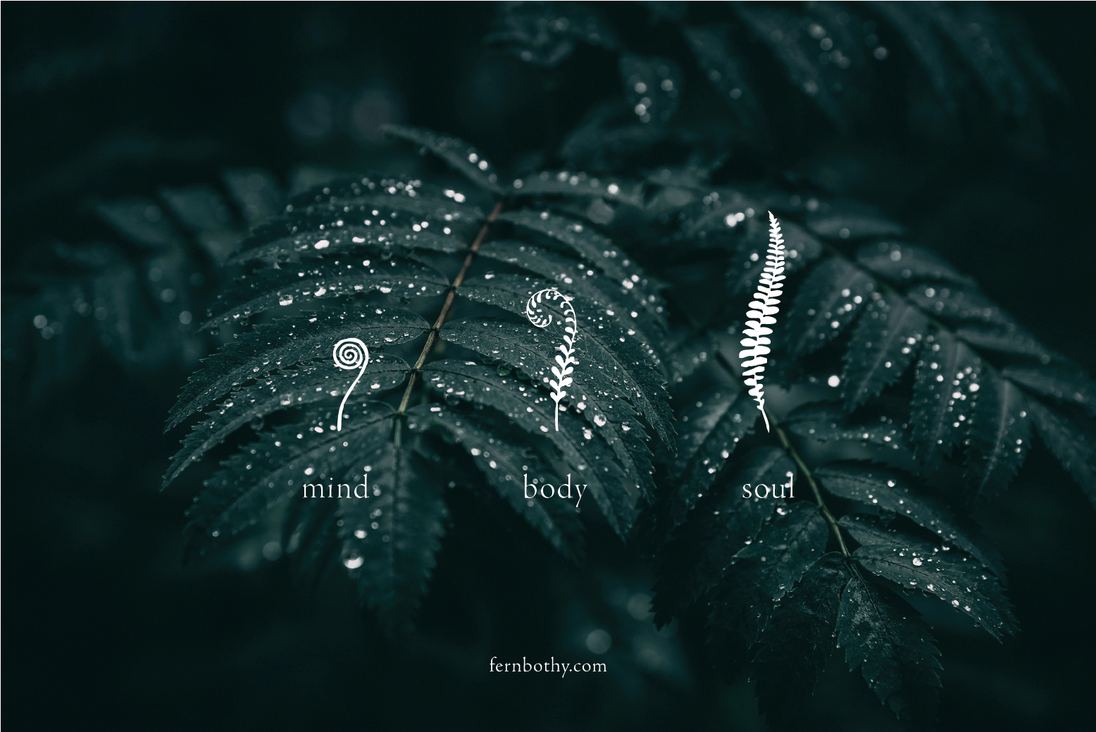 f-mind-body-soul-logo.png