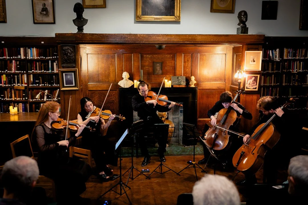 event and concert photography.jpg