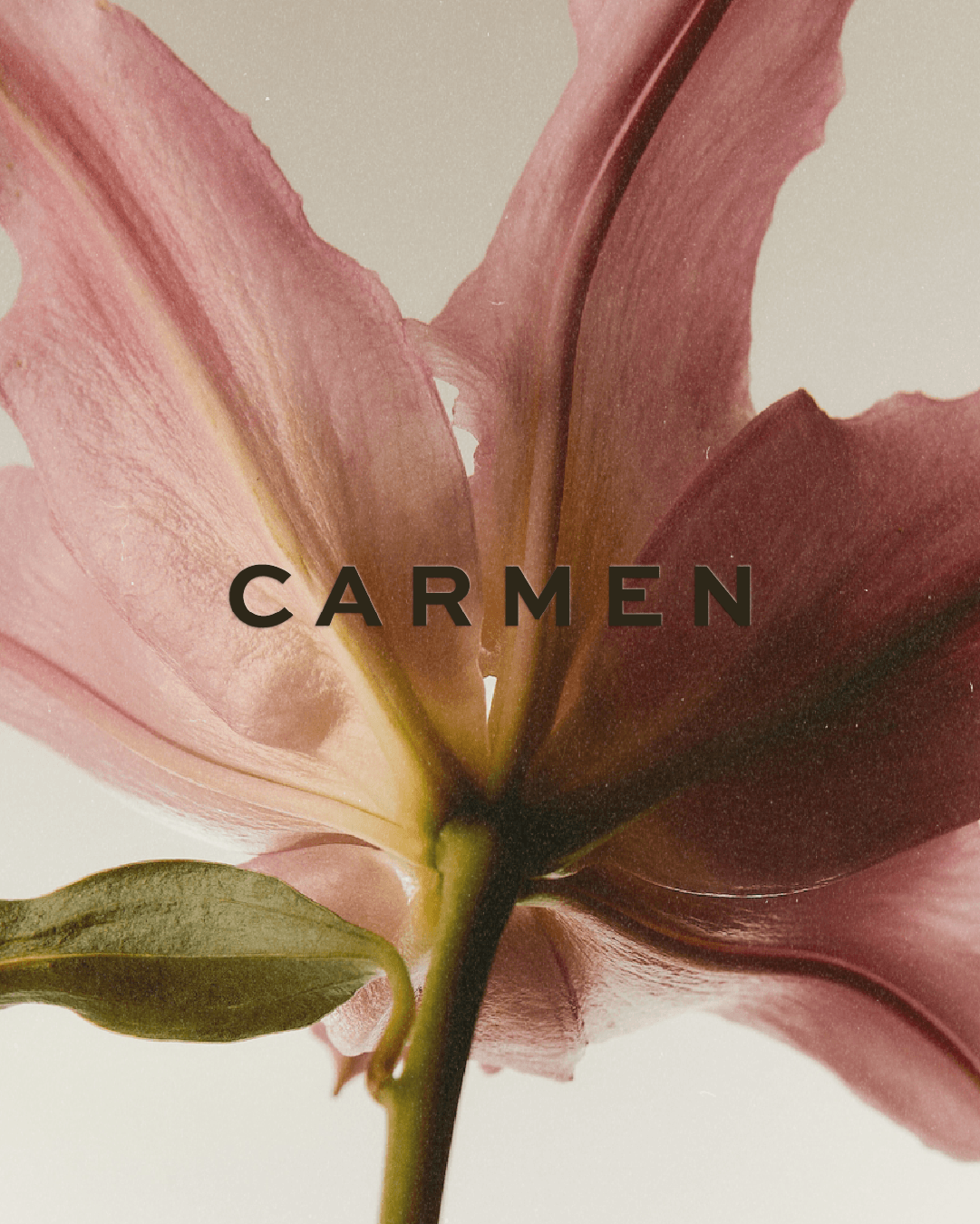 Carrmen
