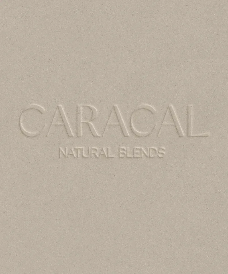 caracal-01.webp