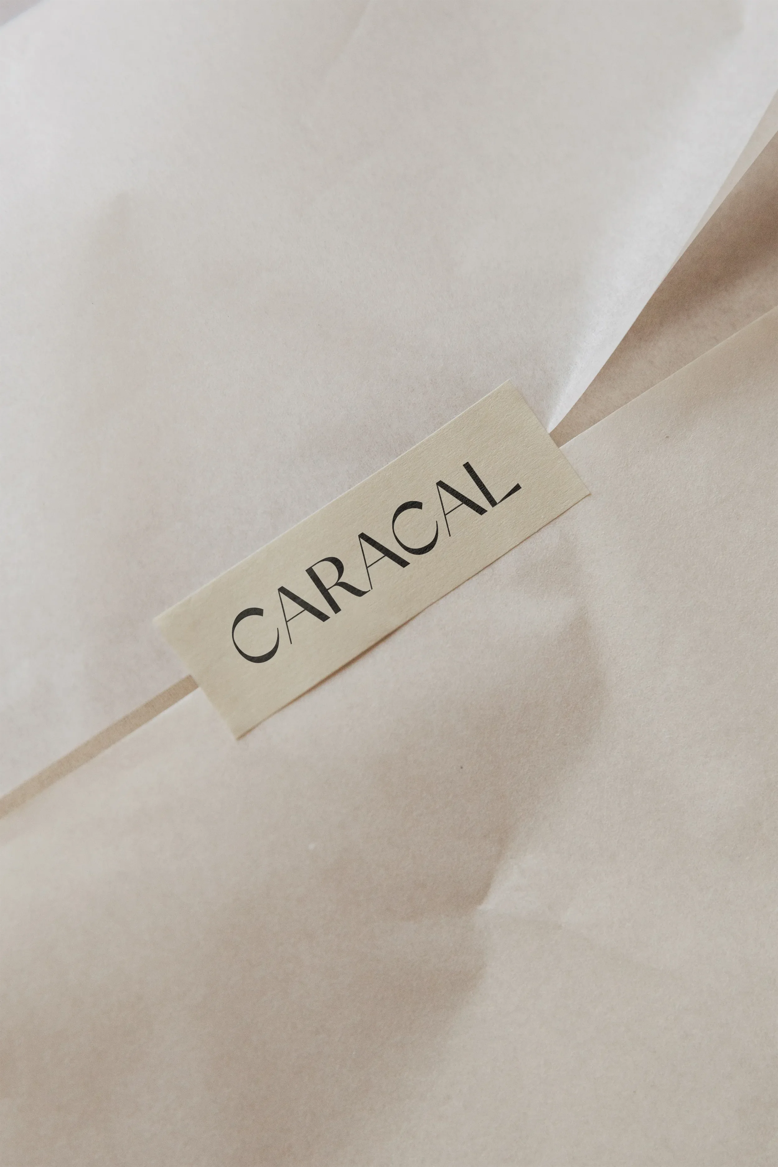 caracal-06.webp