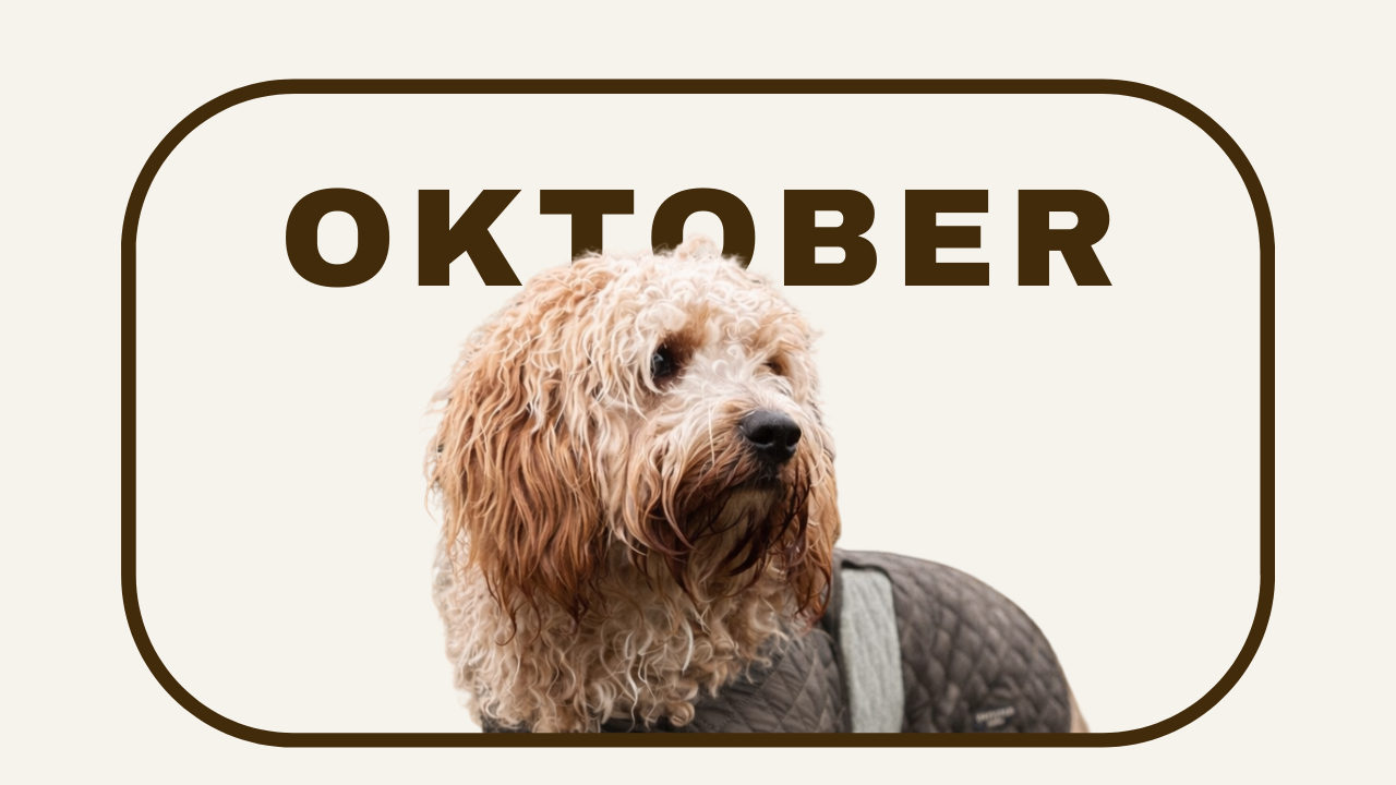 TEEN OKTOBER.png