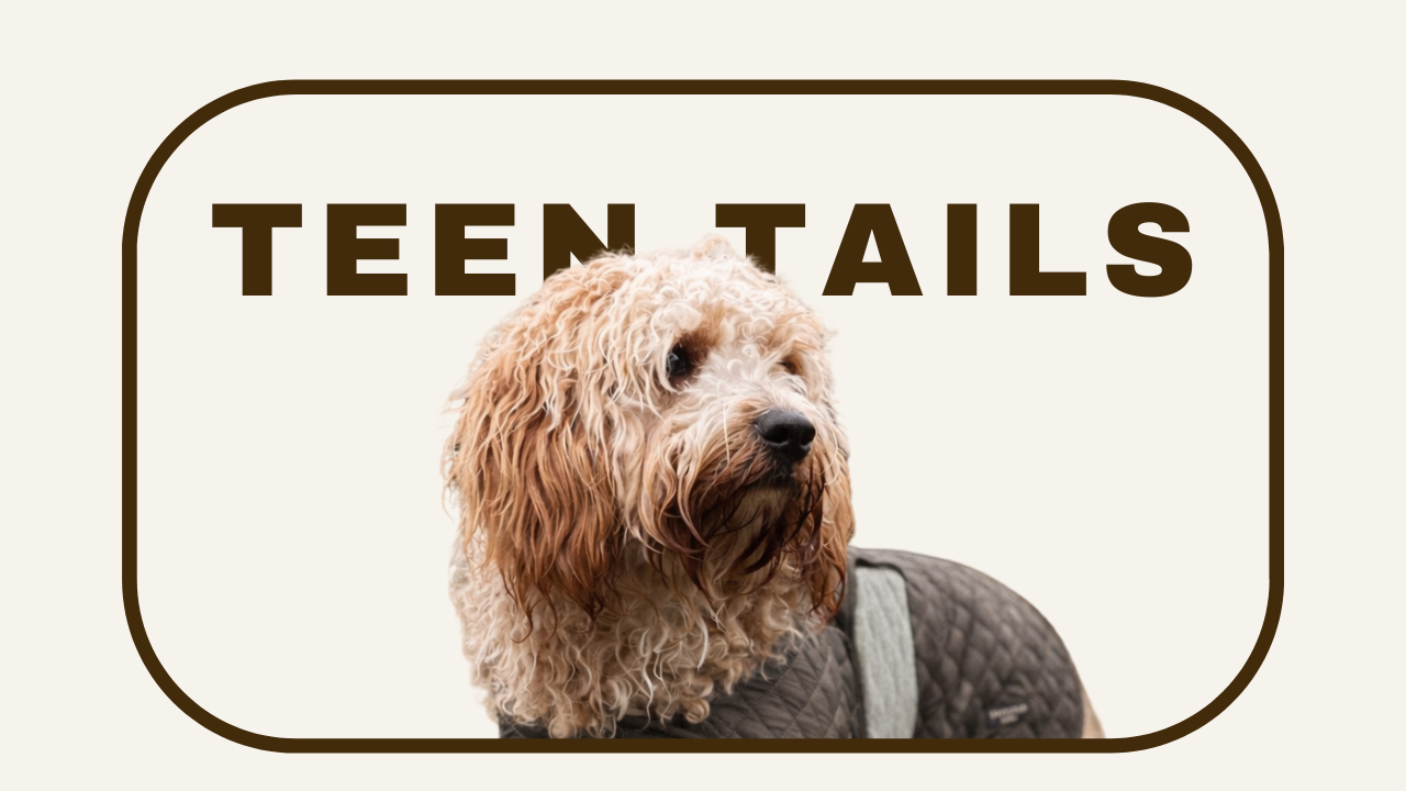 Teen Tails
