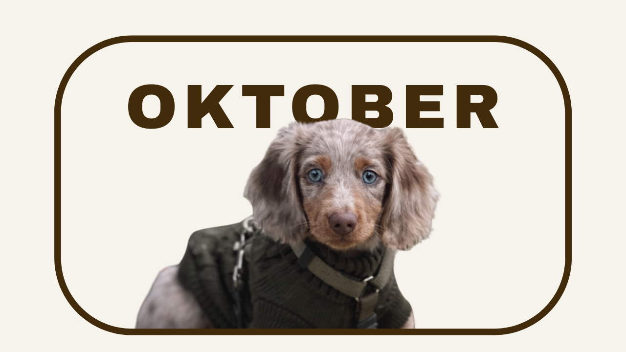 TINY OKTOBER.png