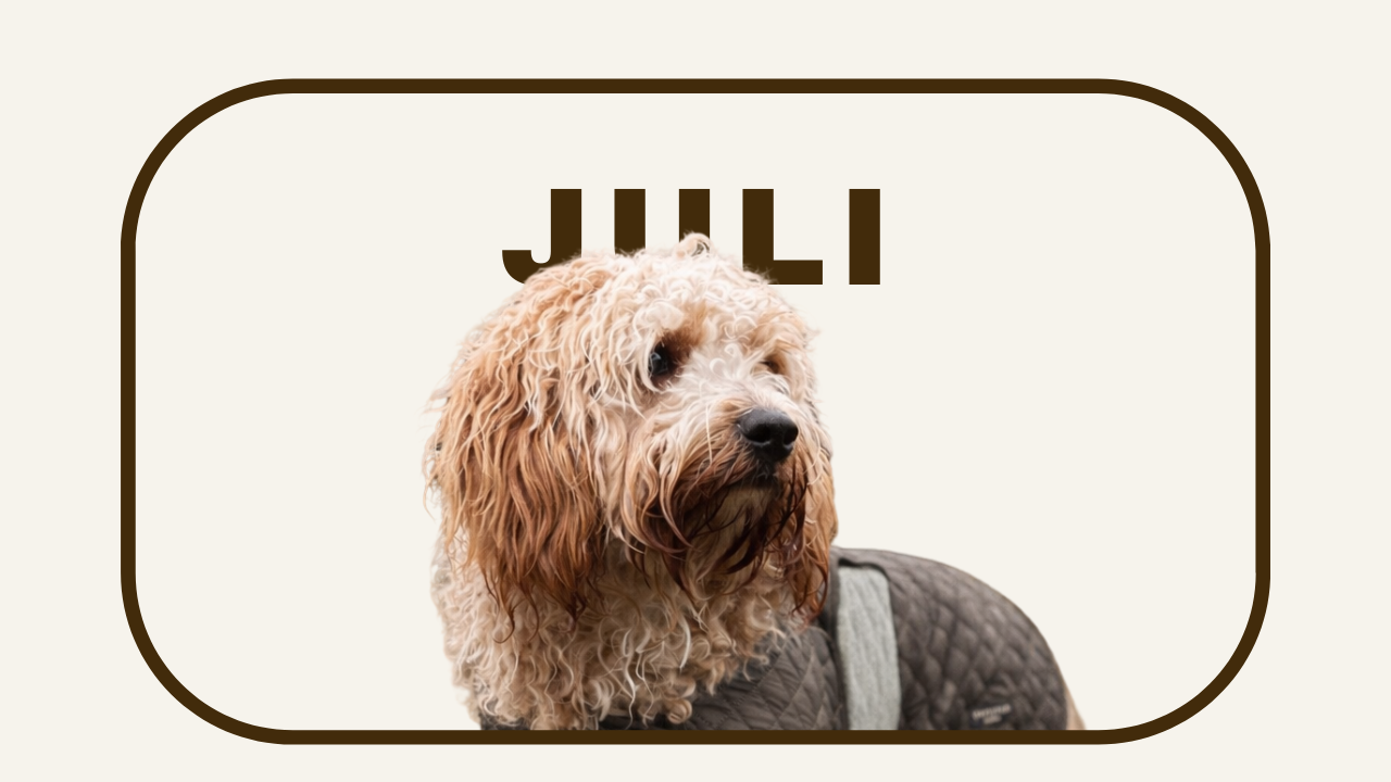 TEEN JULI.png