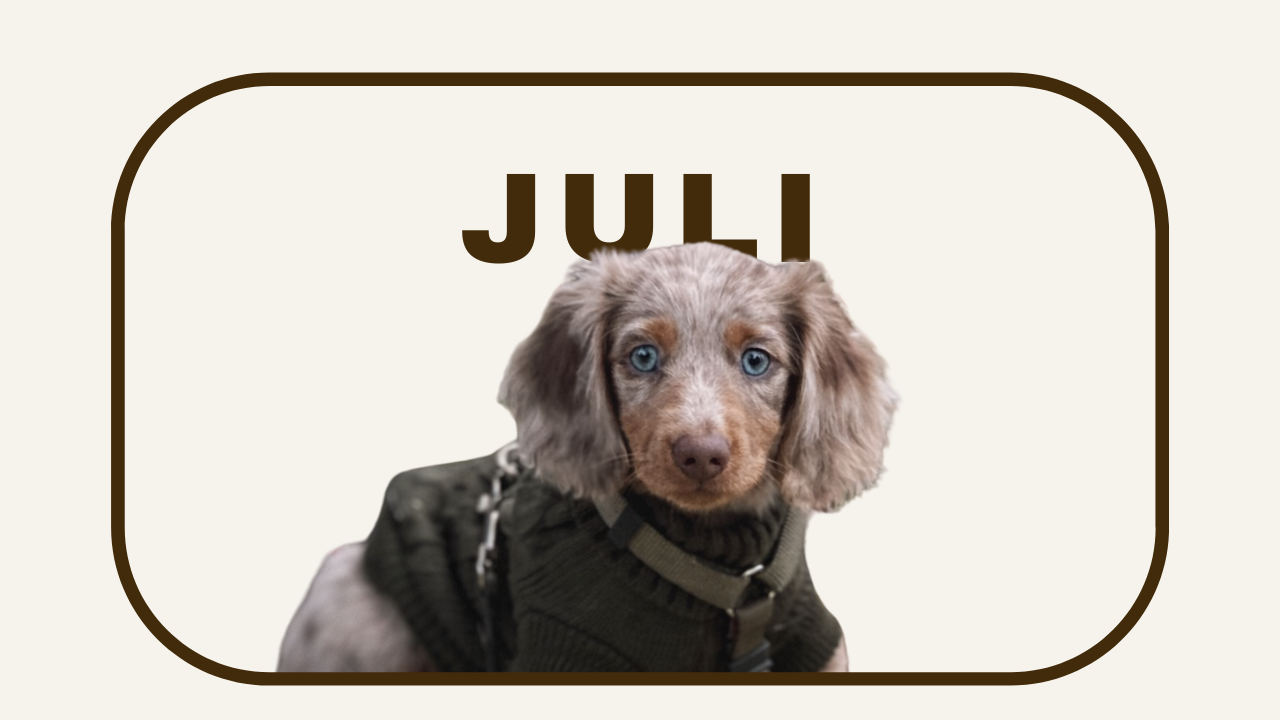 TINY JULI.png