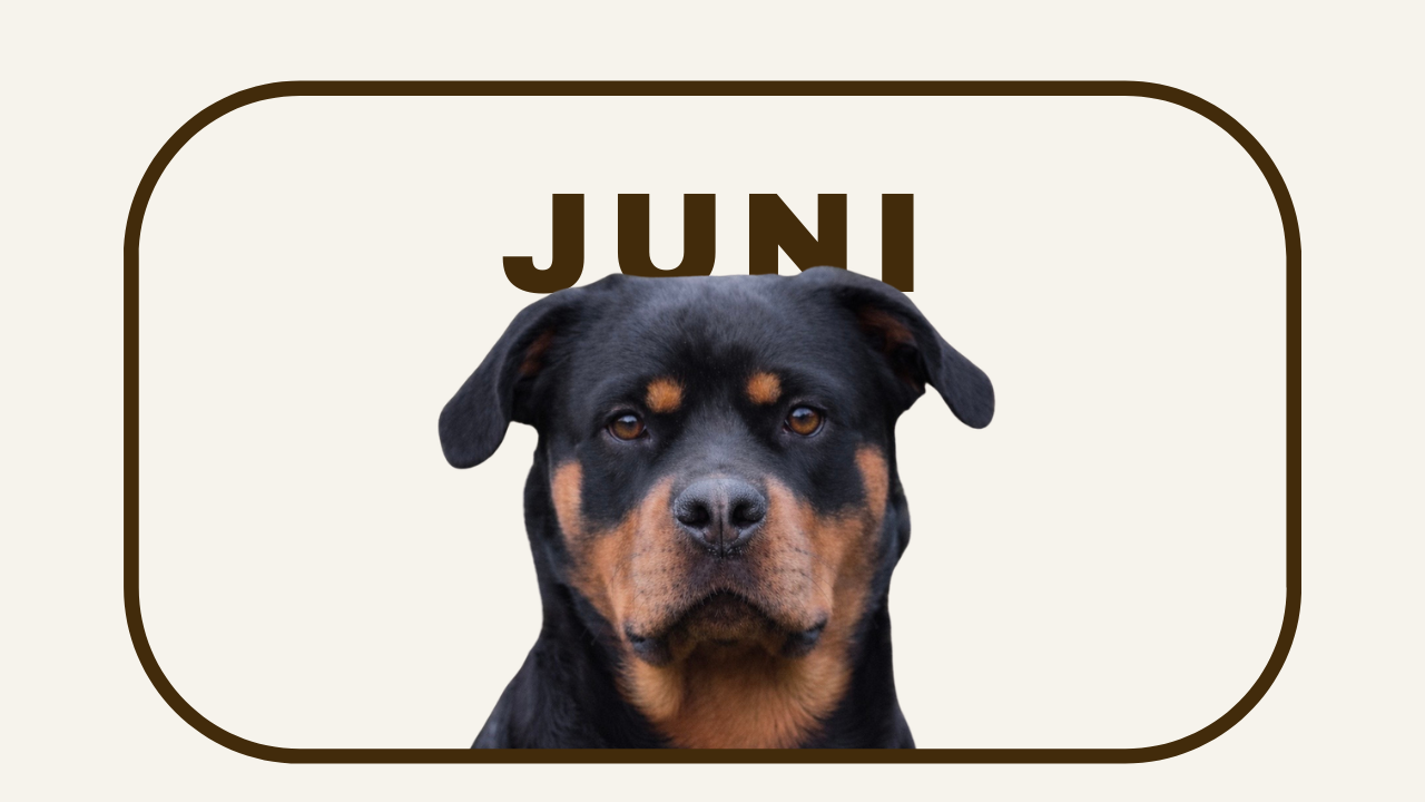 FAM JUNI.png