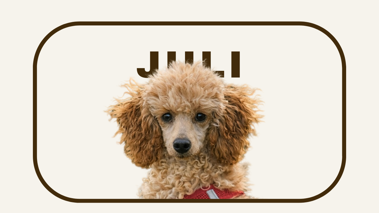 TEEN2 JULI.png