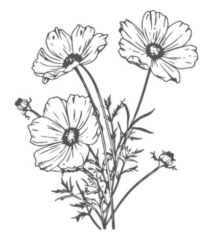 Line drawing of three flowers with detailed petals and stems against a black background.