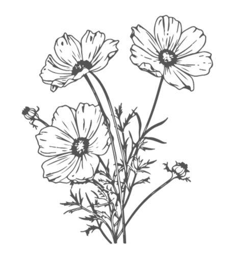 Line drawing of a bouquet of flowers with three large blossoms and foliage on a black background.
