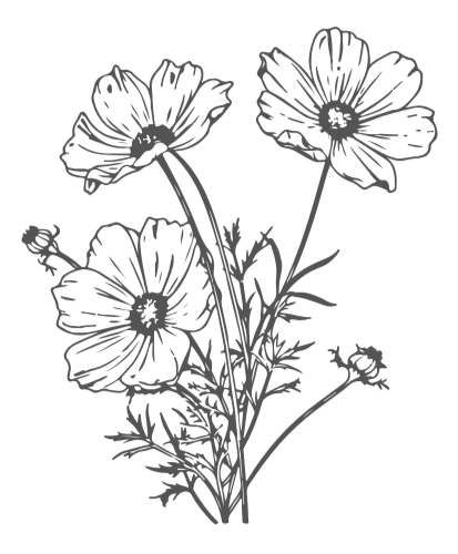 Black and white illustration of three poppy flowers with detailed petals and stems.