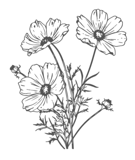 Black and white line drawing of three poppy flowers with leaves and stems.