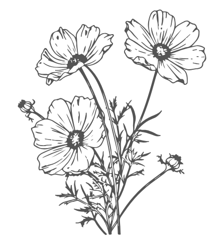 Black and white line drawing of three large flowers with leaves and stems.