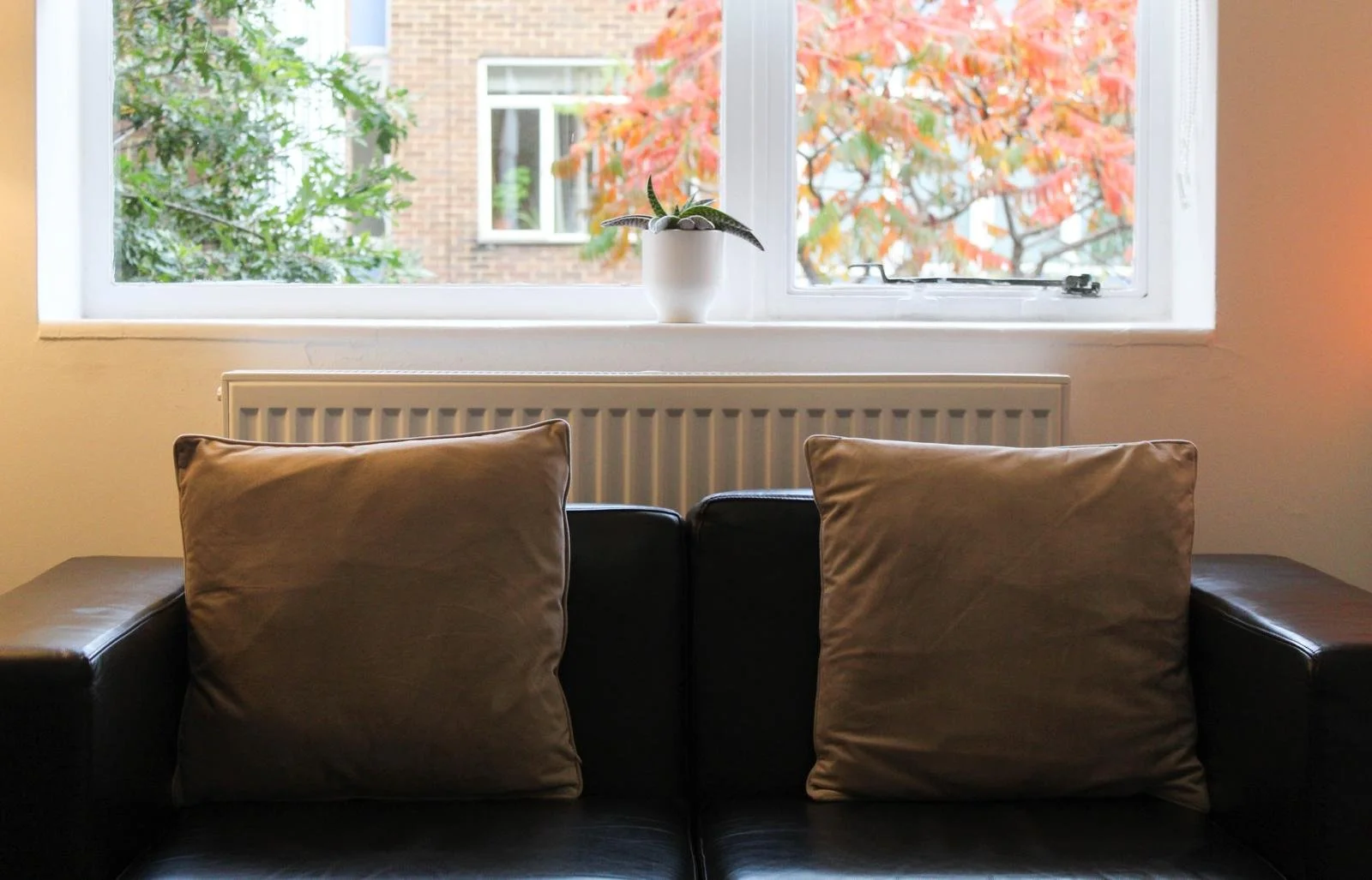 Interior of a living room with a black sofa, two beige pillows, and a window with a view of trees with red and green leaves. A small potted plant is on the windowsill.