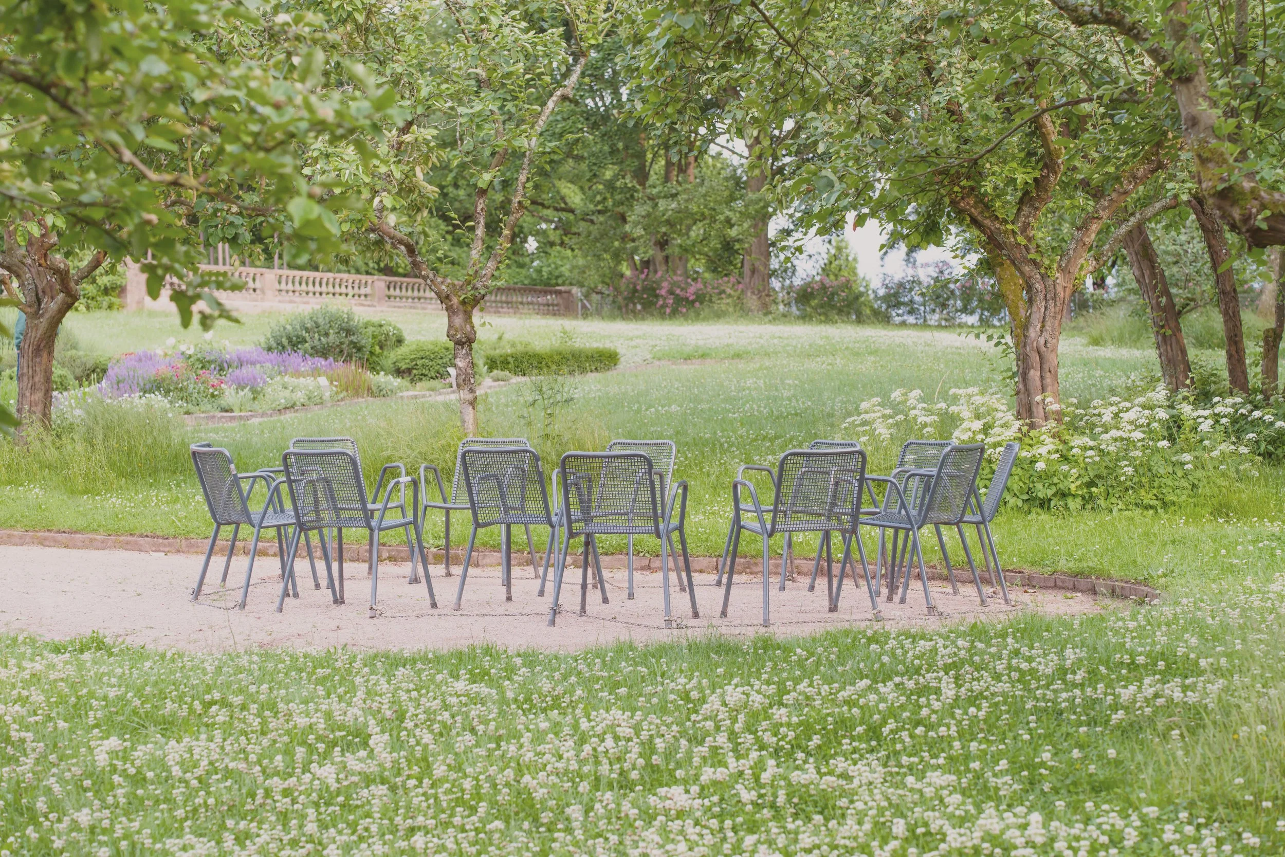 An outdoor garden scene with a circle of metal chairs on a sandy patch, surrounded by green grass, trees, and flowering plants.