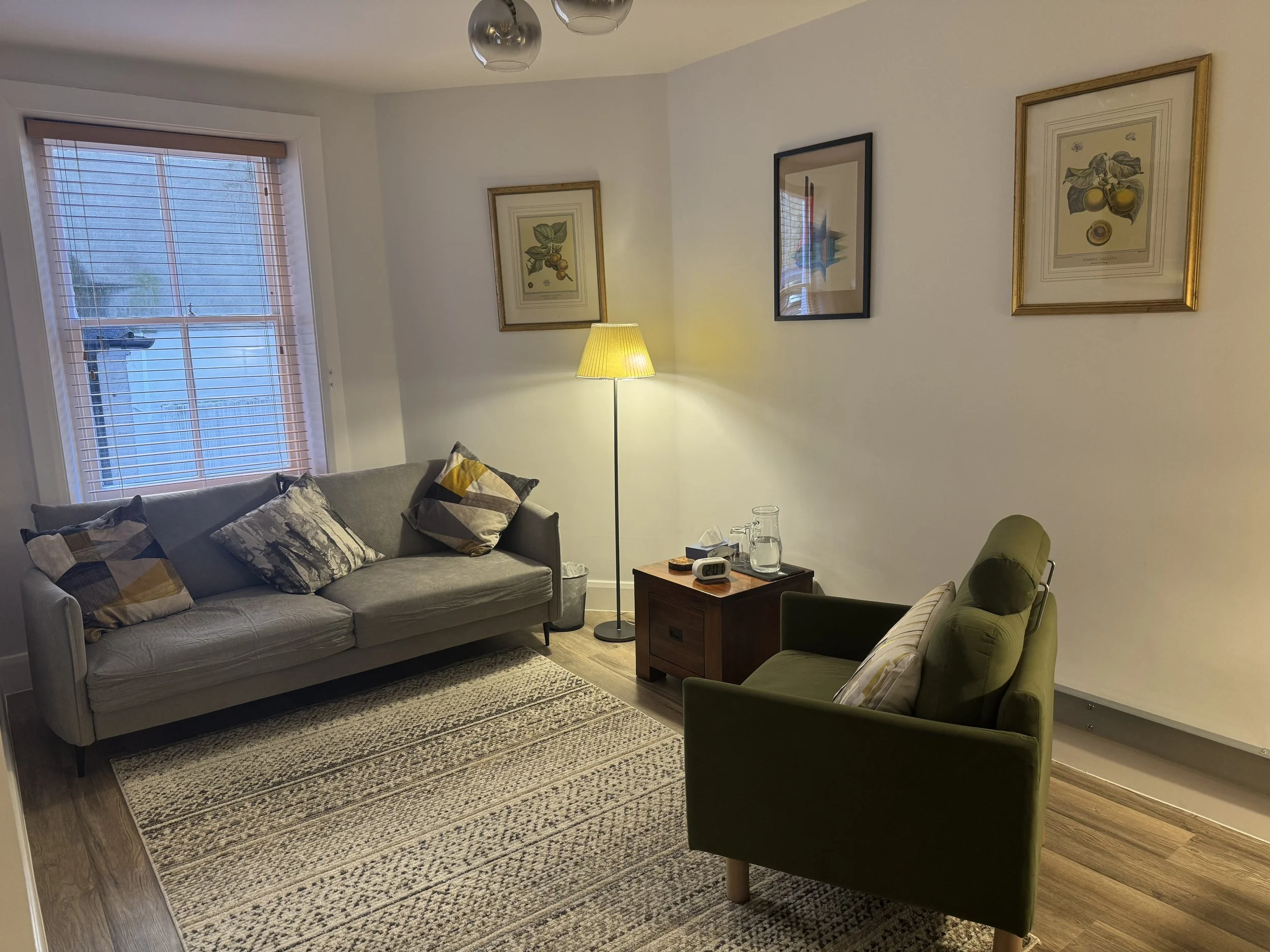 Living room with a light gray sofa and an olive green armchair, patterned pillows, a wooden side table, a yellow floor lamp, framed botanical prints on the wall, a large window with blinds, and a textured rug on wooden flooring.