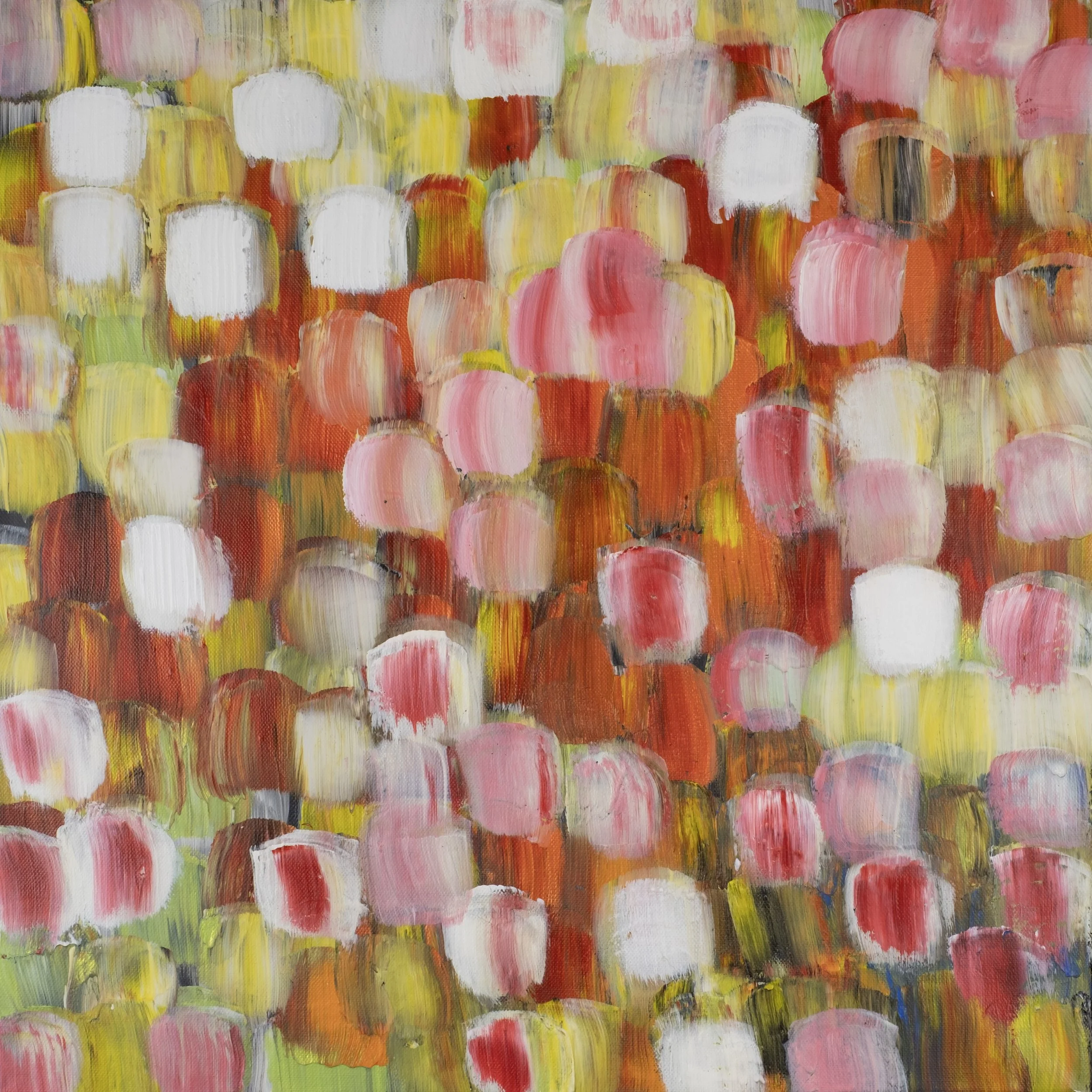 Holland's tulips.jpg