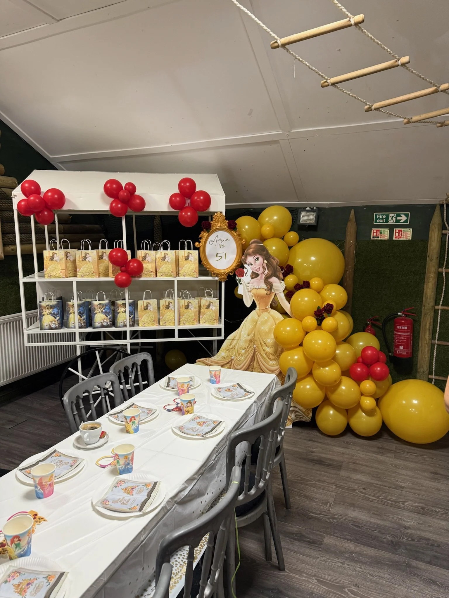 Rye Assic Parties4.JPG