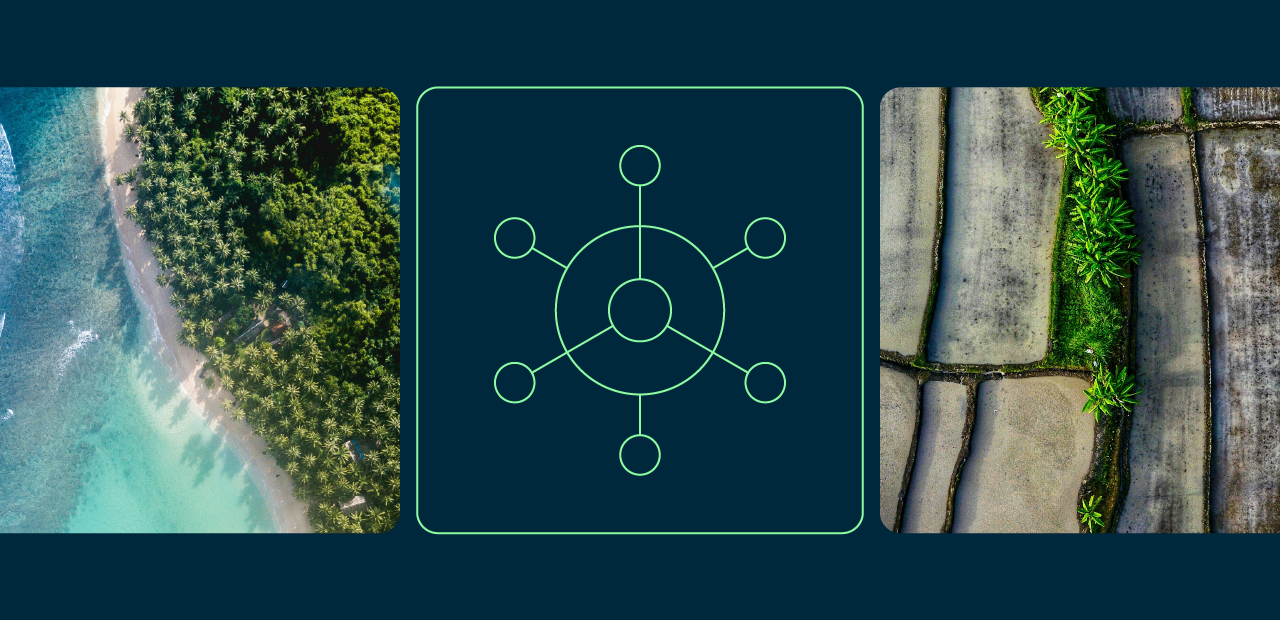 NNC_Case_Study_Artboard-24.png