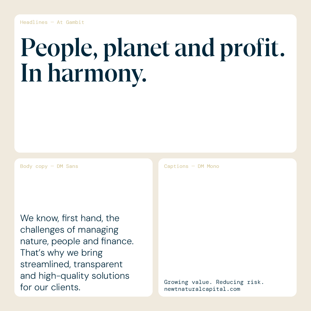 NNC_Case_Study_Artboard-17.png