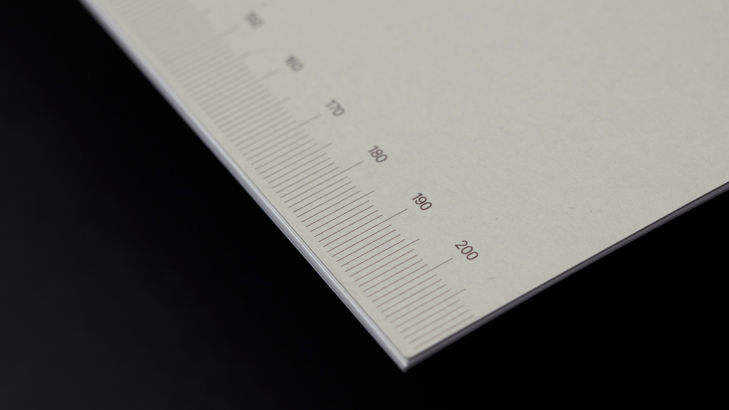 DWBF_Website_2026_Artboard-5.png