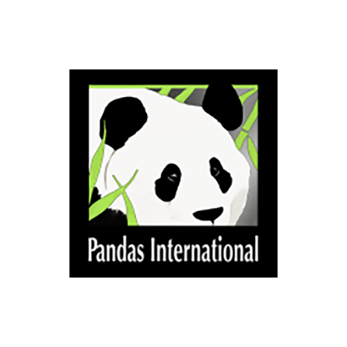 pandas-international.png