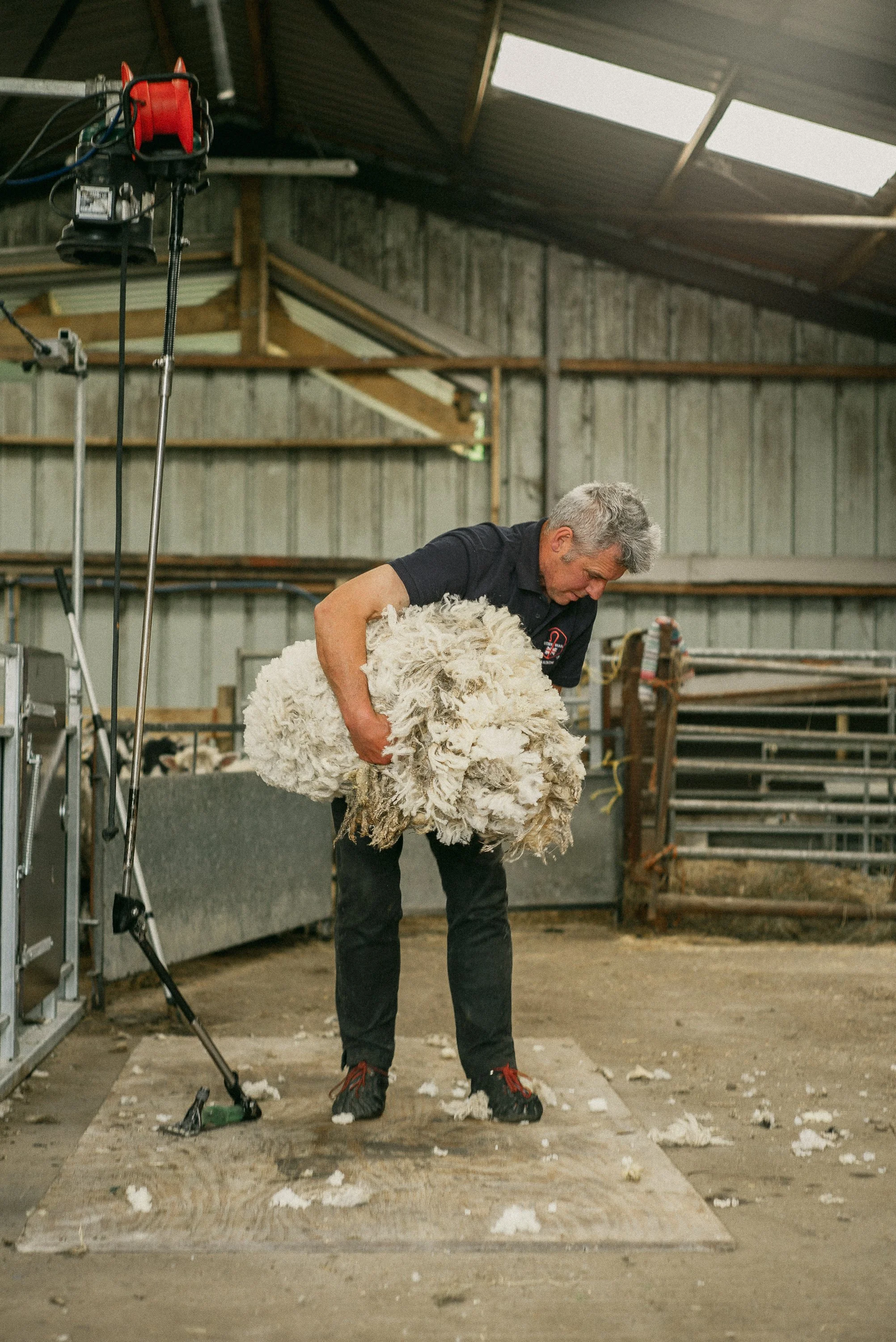 Sheering Sheep with Richard Schofield by Arran Cross-40.jpg