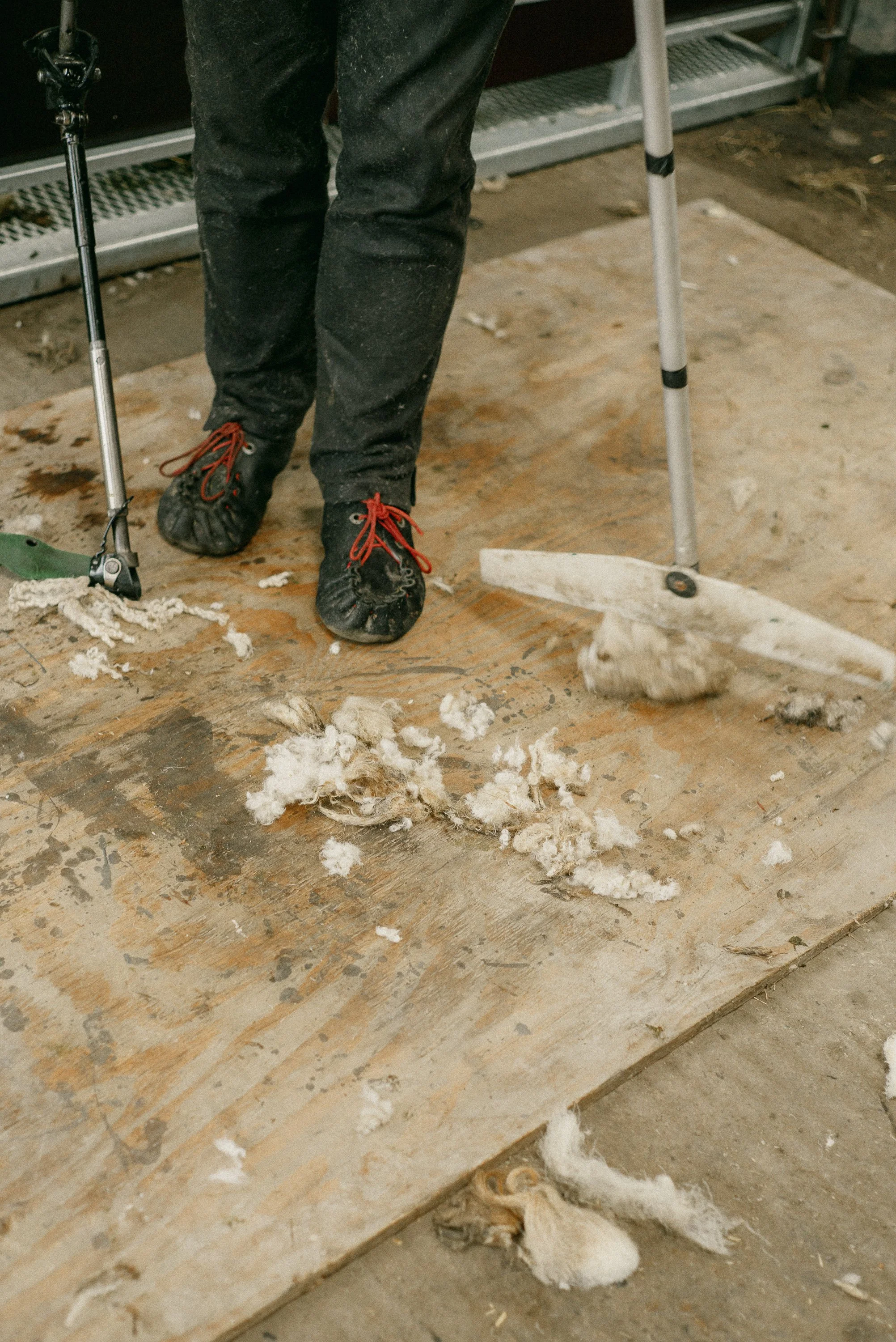 Sheering Sheep with Richard Schofield by Arran Cross-30.jpg