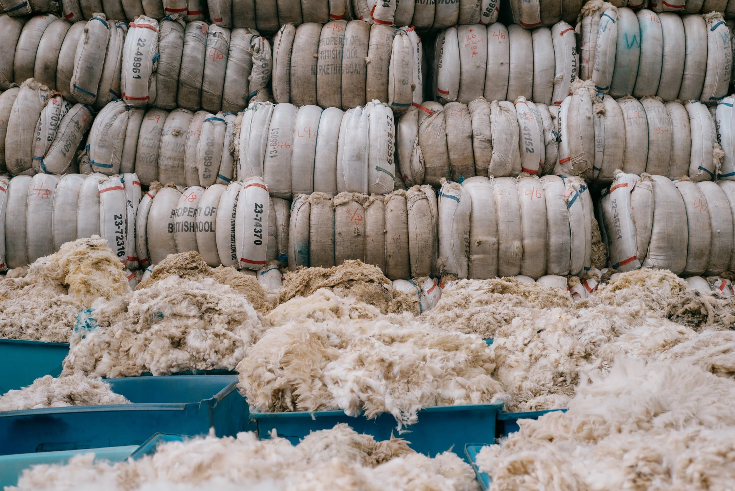 Fleeces piled up ready for sorting and grading at the British Wool depot
