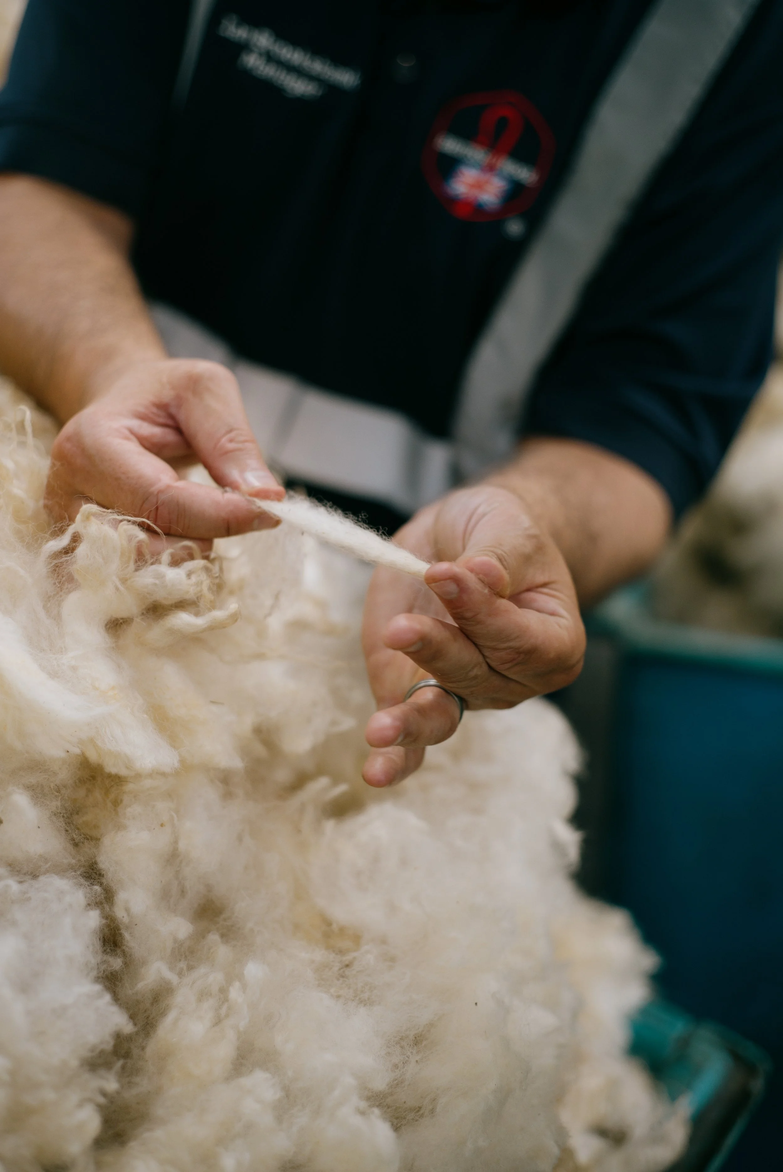 sheep to suit: at the sorting depot