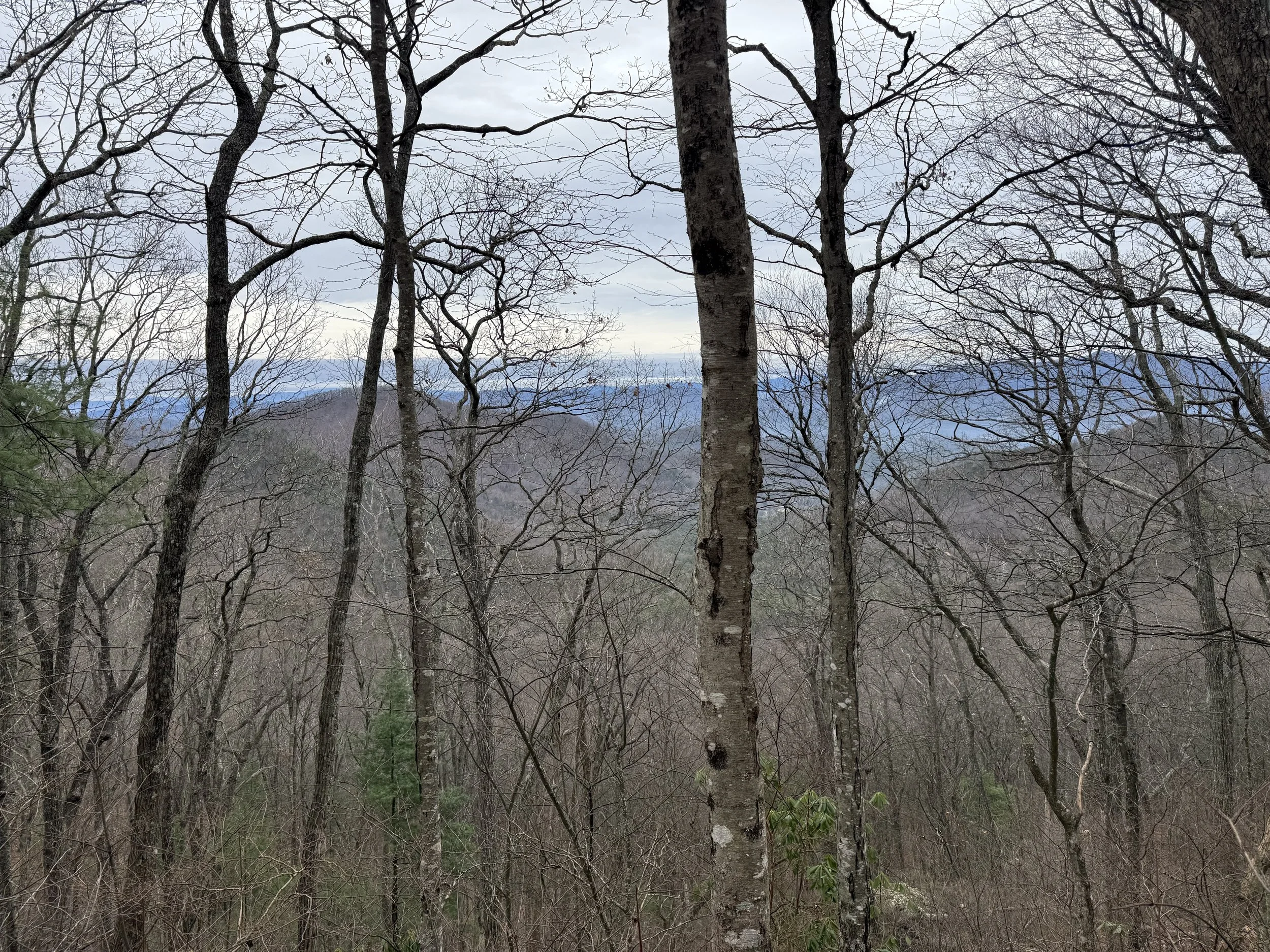 View from Blood Mountain