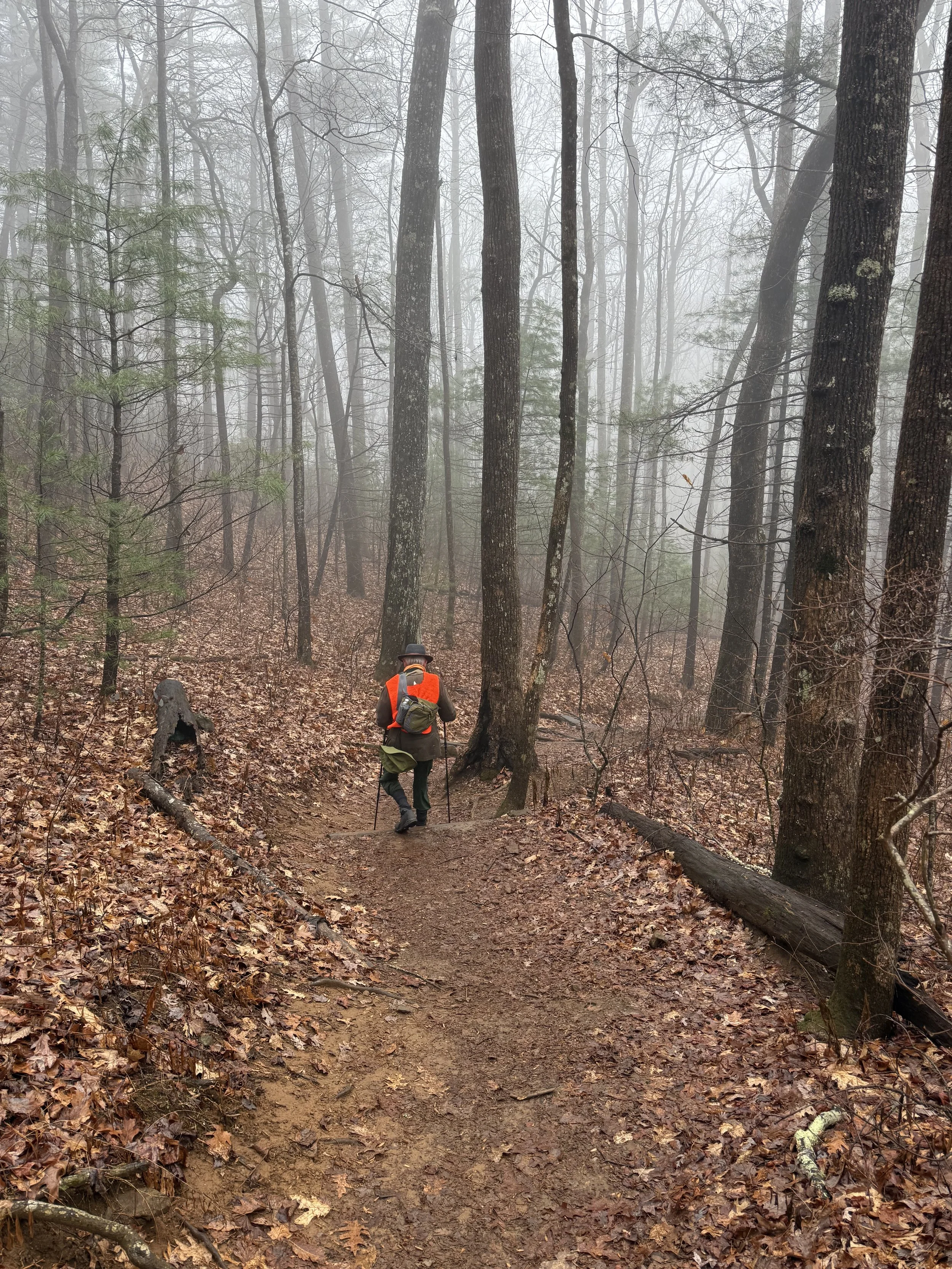 Heyward Hosch on the Byron Herbert Reece Trail