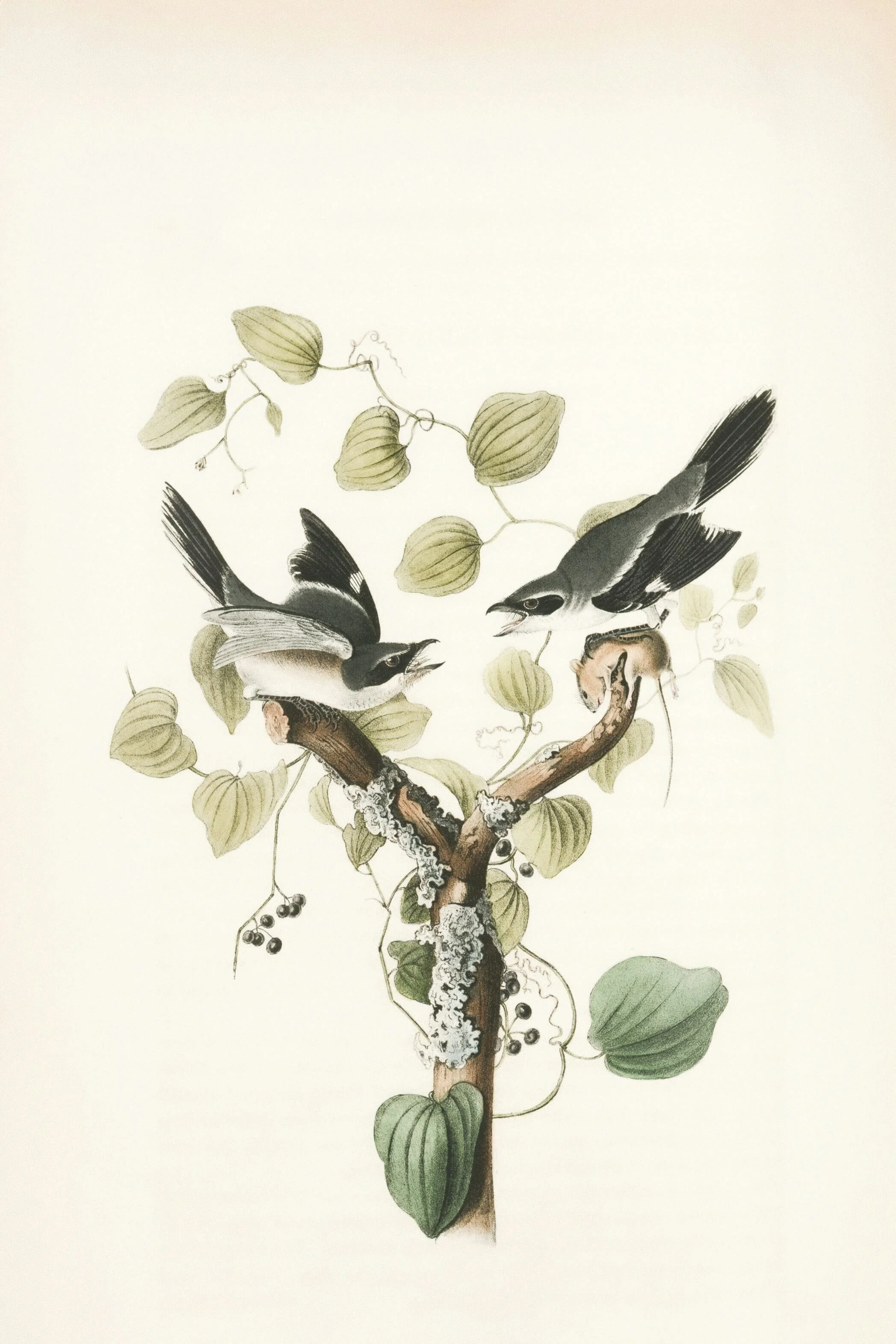 Comment concilier travail et activité artistique : 7 conseils pour créer sans s’épuiser