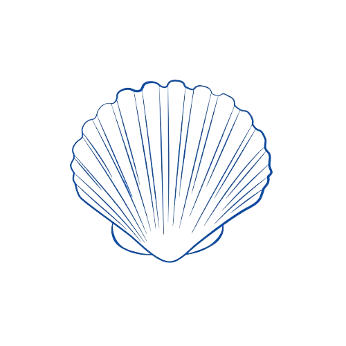 Neon outline drawing of a seashell against a black background.
