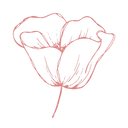 Line drawing of a poppy flower with pink lines on a black background.