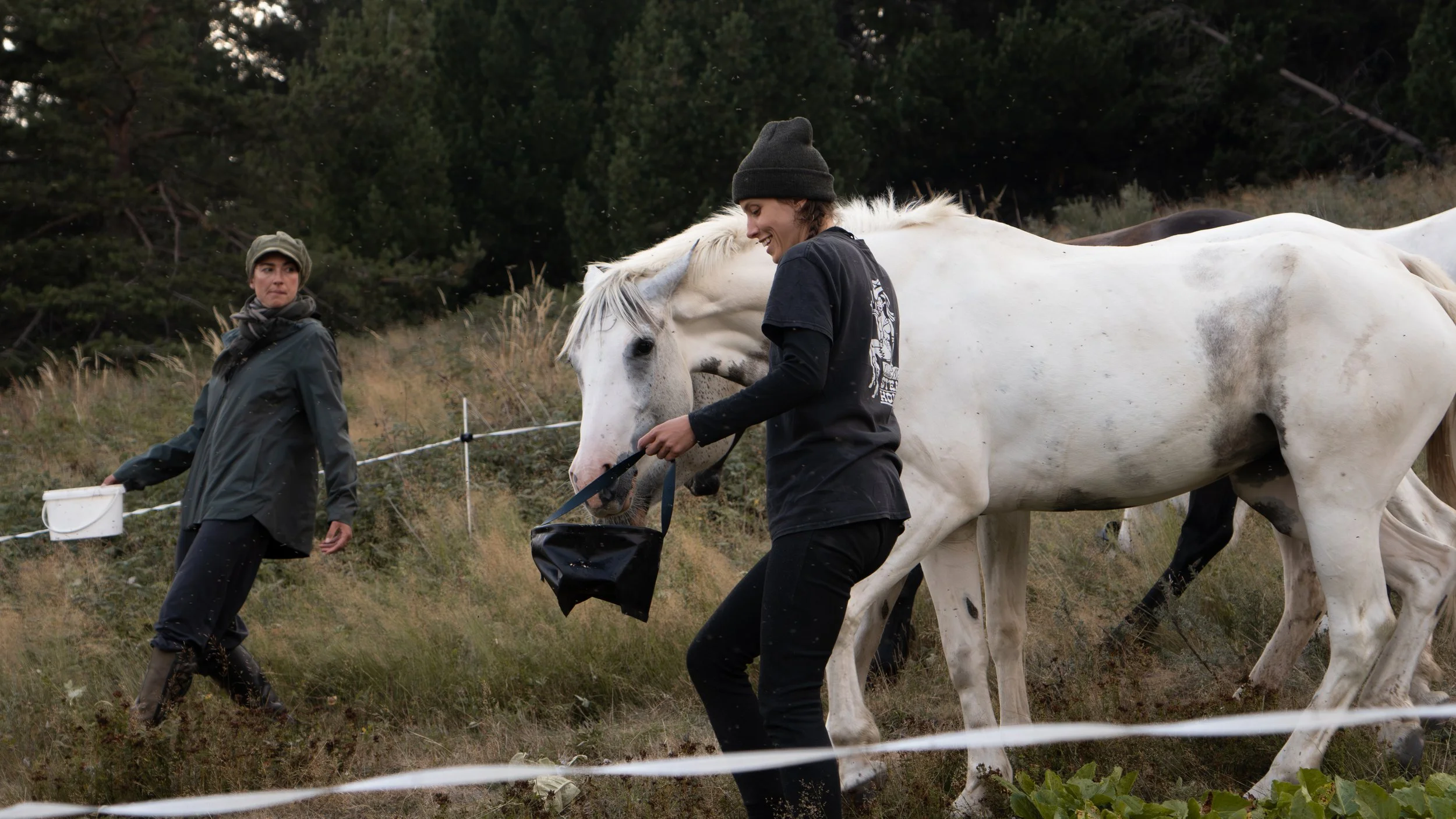 NVMD CAMP 1 - Copy.jpg