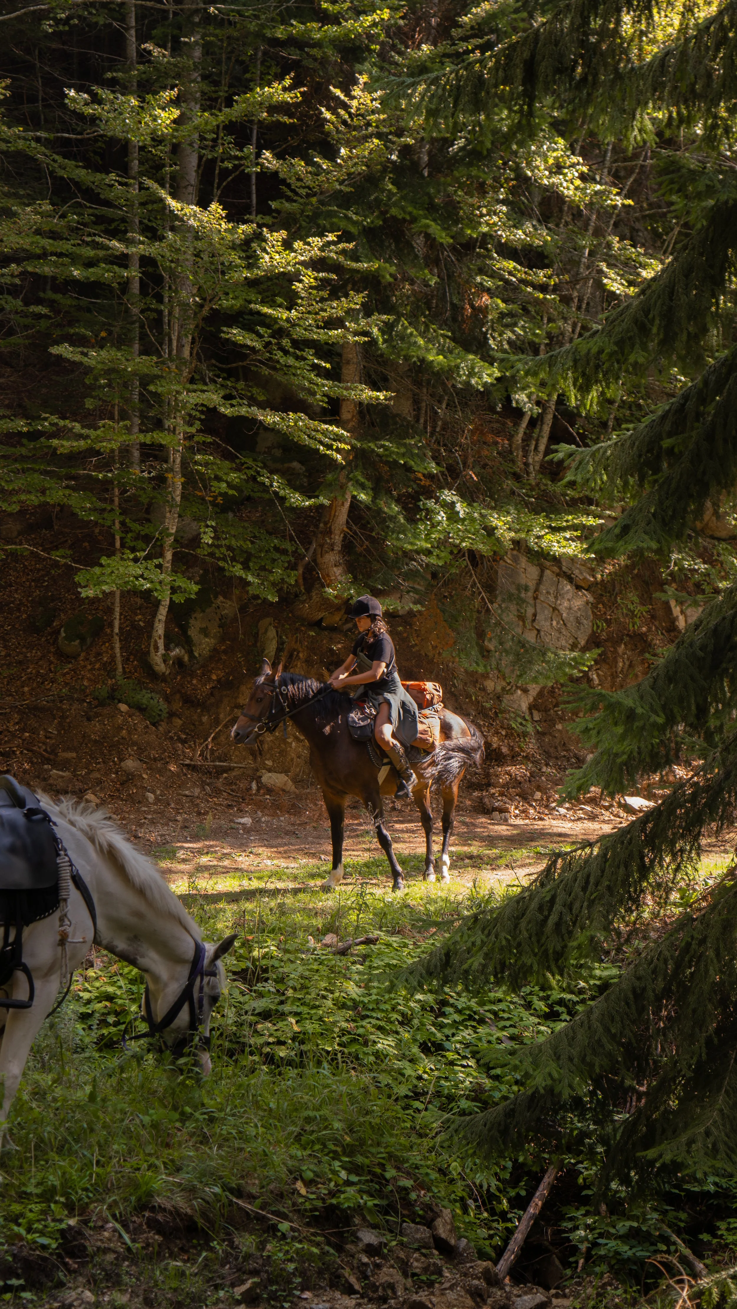 NVMD ON TRAIL (D) - Copy.jpg