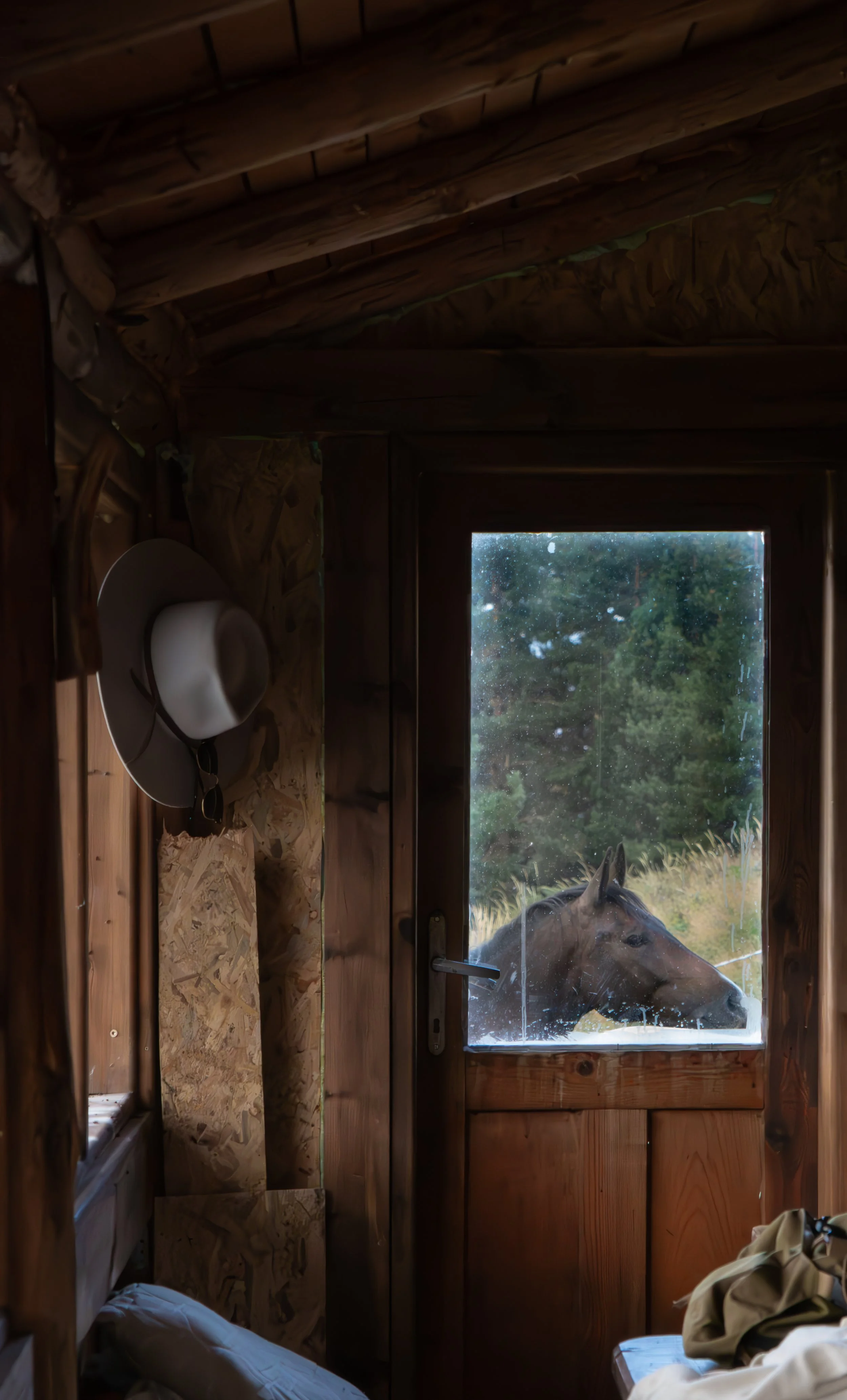 NVMD CAMP - 7 - Copy.jpg