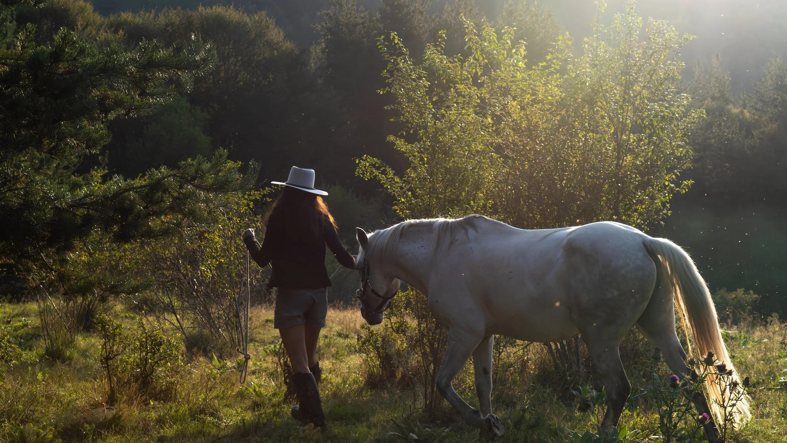 NVMD CAMP - 18 - Copy.jpg