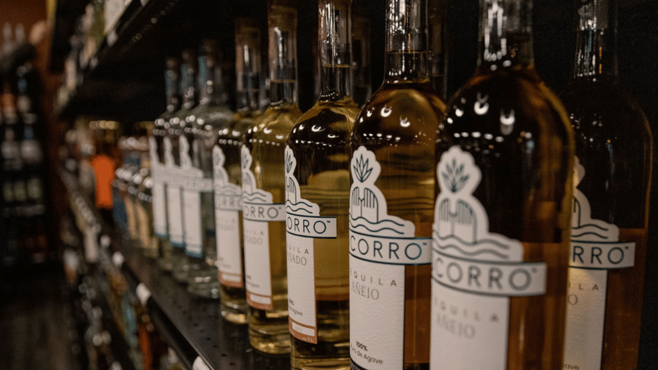 The Essential Tequila Tasting Guide for Spirits Lovers