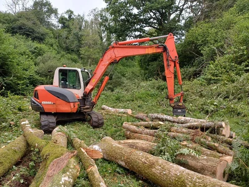 An orange mini excavator with a grey cab is moving logs in a forested area with green trees and bushes in Winchcombe.