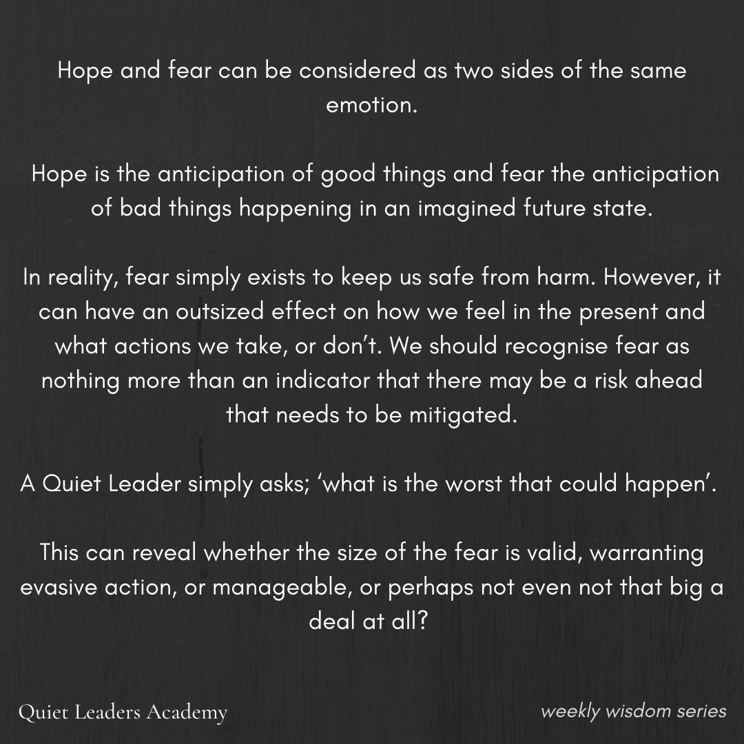 A quote about hope and fear from the Quiet Leaders Academy, discussing how fear is a warning to stay safe, and how recognizing its size can influence management of risk and action.