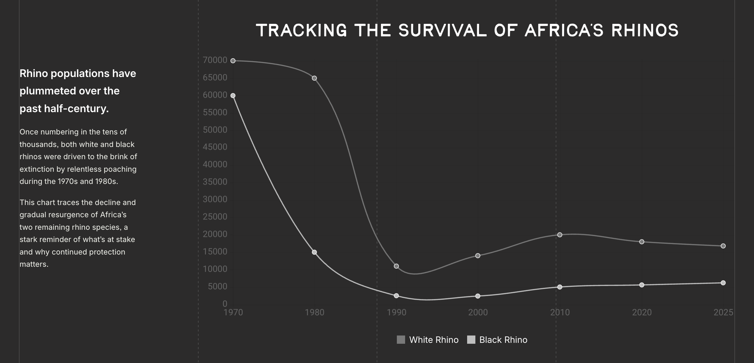 Graph Showing The Decline and Recovery of Africa’s Rhino Populations (1970–2025)