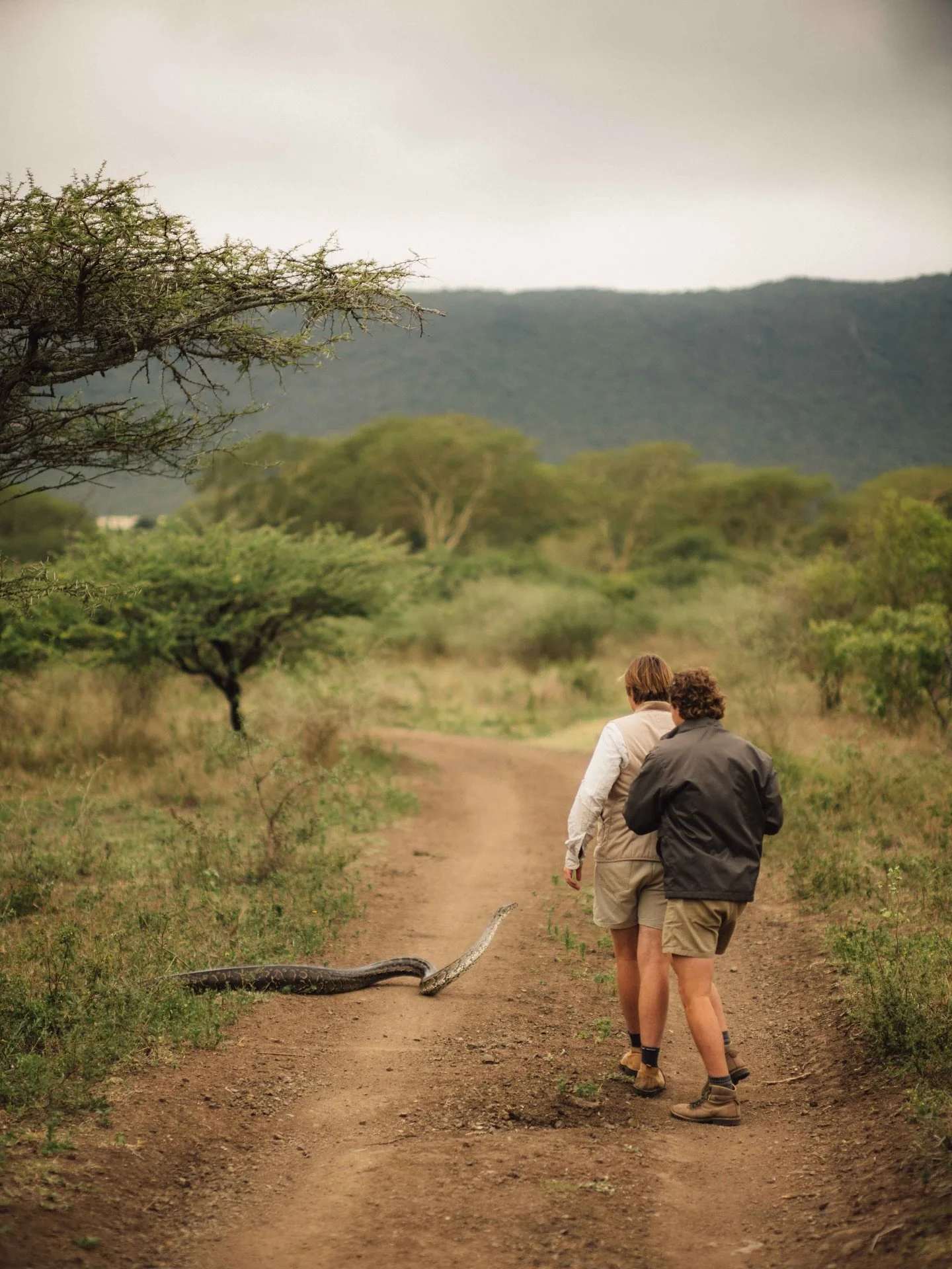 One of the best parts of this work? Getting to show people the beauty of creatures we&rsquo;ve been taught to fear.

While tracking prints, we were lucky enough to cross paths with a rock python on the move &mdash; calm, powerful, and breathtaking up