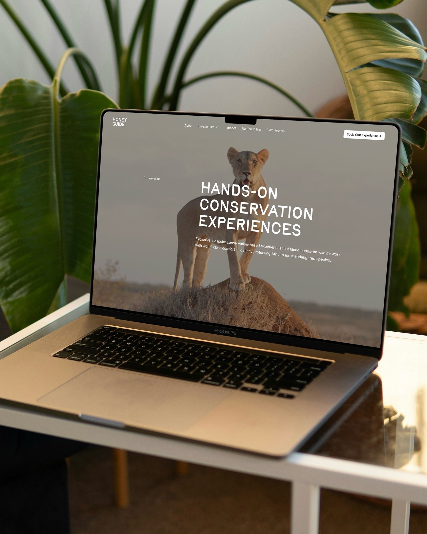We are super excited to announce the launch of our new website soon✨

We&rsquo;ve been quietly building something special behind the scenes &mdash; and we&rsquo;re almost ready to share it with you.

After many hours of hard work, the new Honey Guide