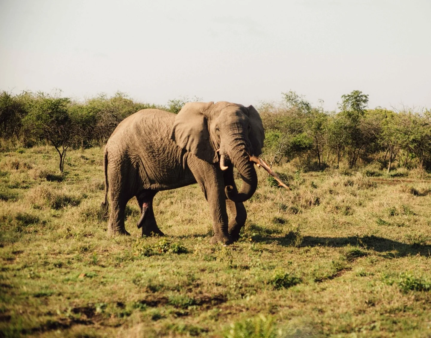 As the year winds down, we&rsquo;re taking a moment to breathe it all in.

2025 has been a remarkable chapter for Honey Guide &mdash; a year filled with unforgettable journeys, inspiring guests, powerful conservation moments, and experiences that rem