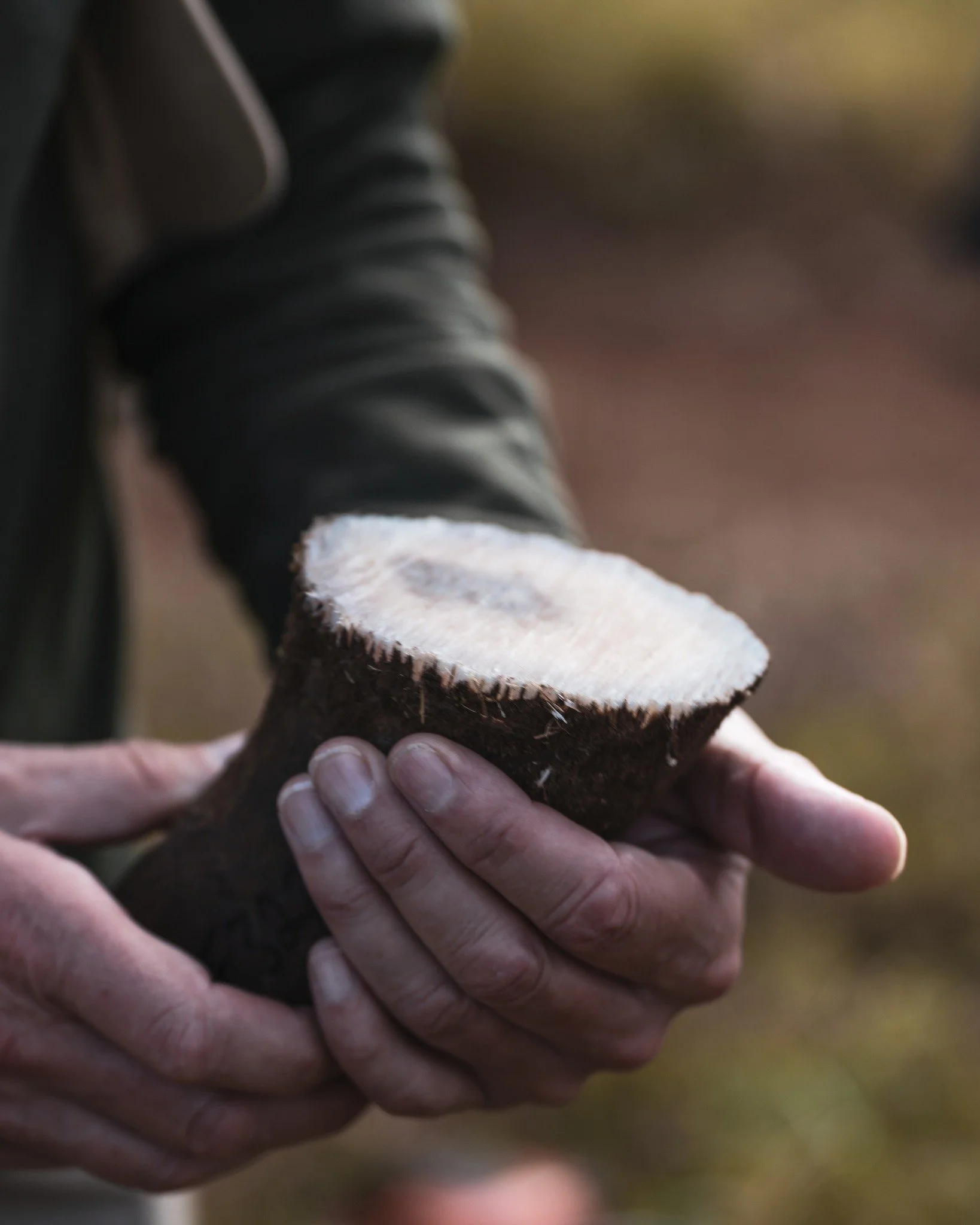 Rhino conservation starts with action 🦏

Our latest Field Journal blog &mdash; Rhino dehorning: the sustainable future of rhino conservation &mdash; dives into why this ethical practice is one of the most effective tools safeguarding rhino populatio