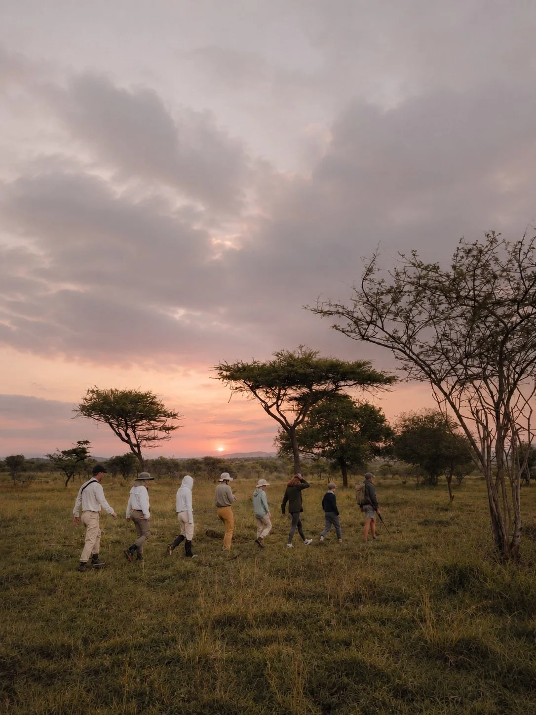 Walking safaris slow everything down.

Guided by expert trackers and field guides, Honey Guide walking safaris are designed to immerse you in the rhythm of the bush &mdash; on foot, at eye level, and deeply connected to the landscape.

And after a da