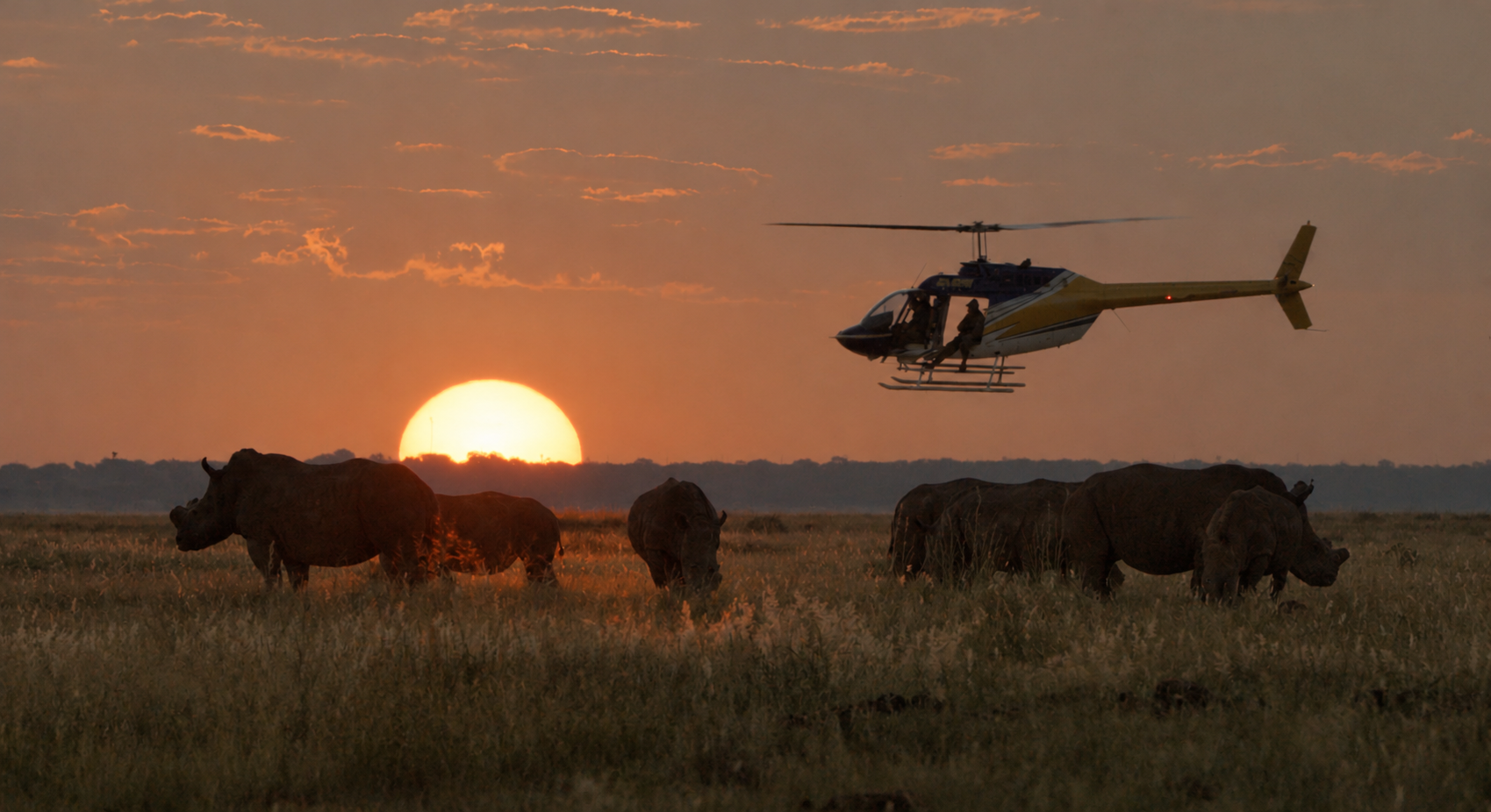 Rhino's in the wilderness of Maputo National Park, Mozambique.