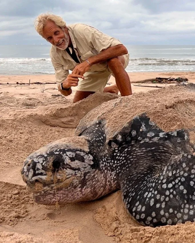 Andy Coetzee with leather back turtle.